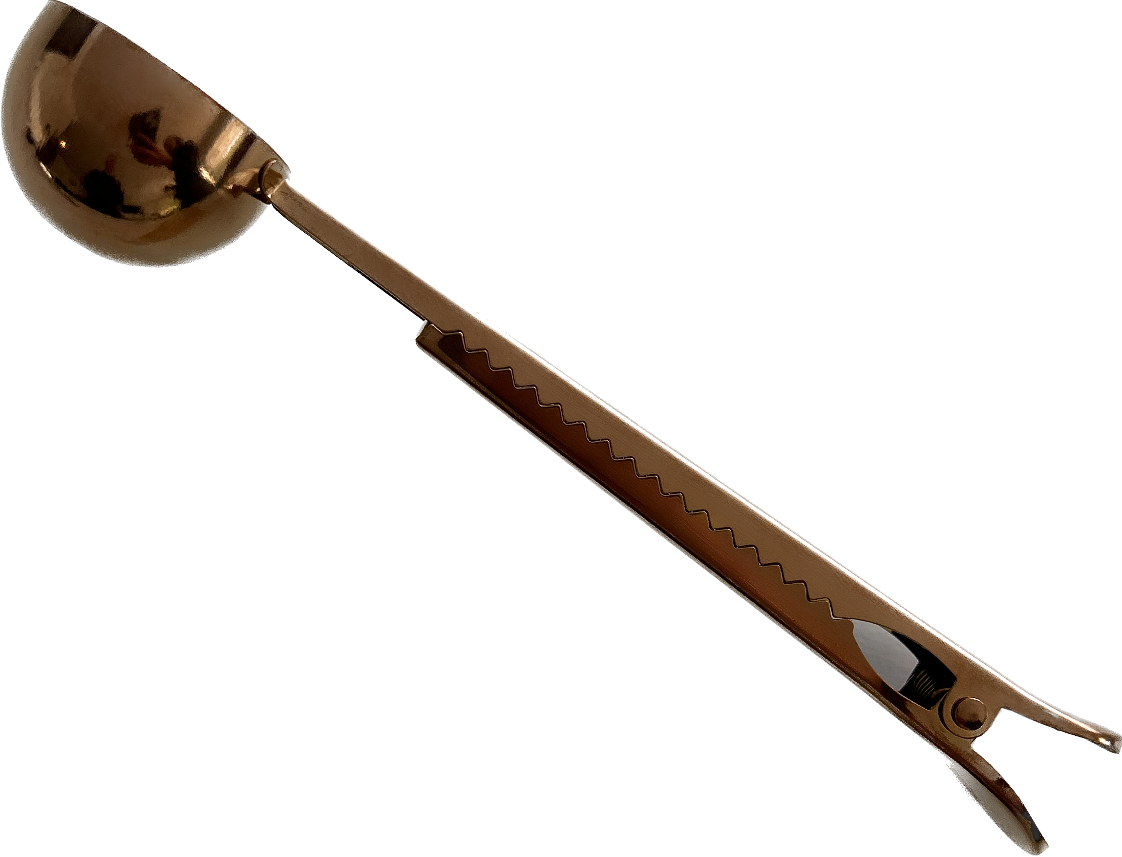 2-in-1 Coffee Bean Spoon & Bag Clip